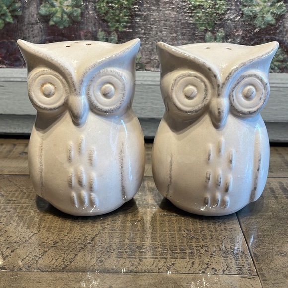 Vintage Owl salt & pepper shakers 4” - Picture 7 of 7